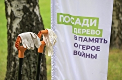 Около 10 млн деревьев посадили в Тверской области в память о фронтовиках