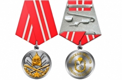 Награжденные медалью "Доблесть и слава" в Тульской области получат по 50 тыс. руб
