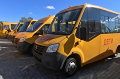 Рязанские сельские школы в текущем году получат 50 новых автобусов