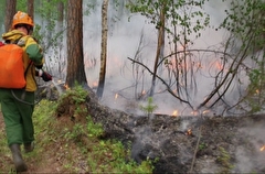 Все лесные пожары потушили в Югре