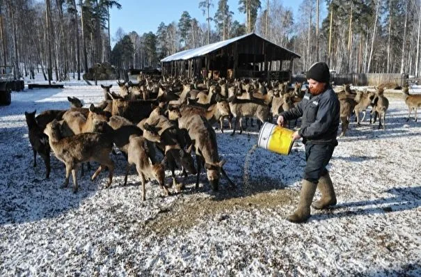 Приз за креативность