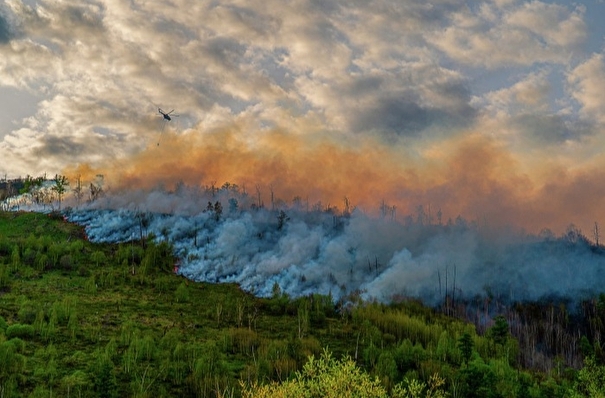 Режим ЧС ввели в лесах Камчатки из-за пожаров