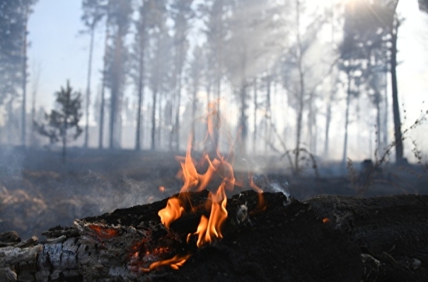 Режим ЧС введен в одном из районов Бурятии из-за лесных пожаров