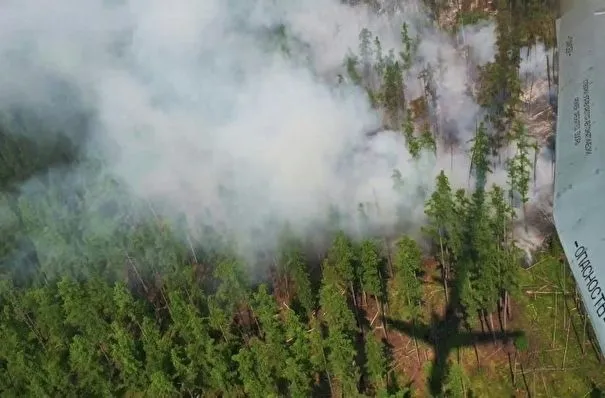 Площадь лесных пожаров в Прибайкалье за выходные уменьшилась почти вдвое