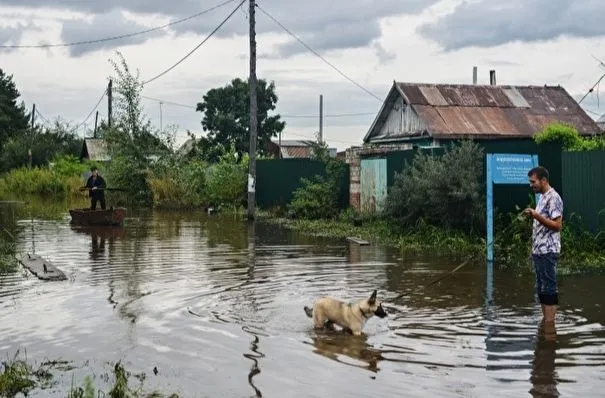 Более 400 дворов подтоплены в Биробиджане после сильных дождей