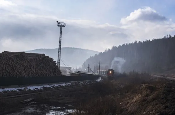 РЖД привлекут общественность для контроля вырубки леса под развитие БАМа и Транссиба - Белозеров