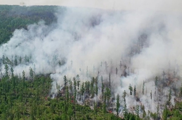 Площадь лесных пожаров в Иркутской области превысила 45 тыс. га