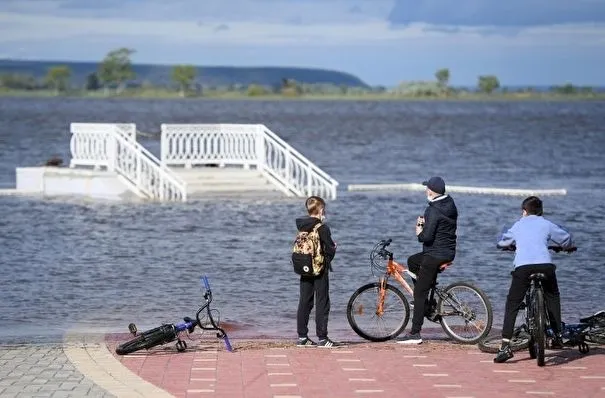 Менее полуметра осталось до опасного уровня воды в Амуре возле Хабаровска