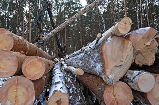 Осипов предложил передать ряд полномочий в лесной сфере Забайкалья на федеральный уровень