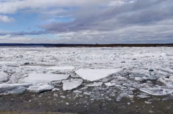 Ледоход заметили на Волге близ нижегородского Городца