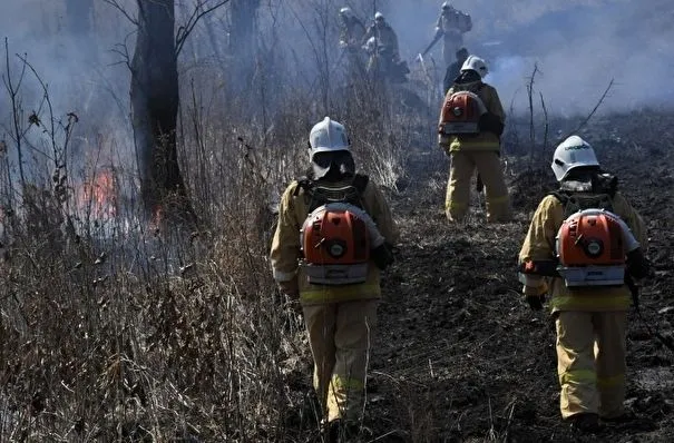 Пожар в удмуртском нацпарке ликвидирован