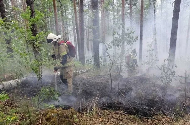 Куйвашев предлагает наградить пожарных, попавших в окружение лесного пожара под Тюменью