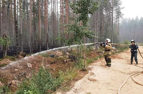 Военные ЗВО тушат лесные пожары в Карелии