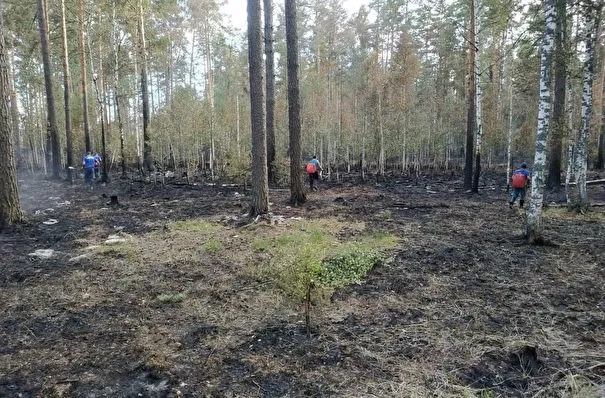 Пожарные ликвидируют тлеющие очаги на площади 16 га в лесах Марий Эл