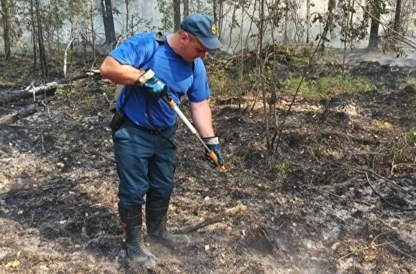 Природные пожары на площади 3 тыс. гектаров потушены в Свердловской области