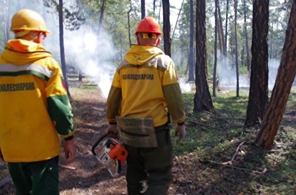 Все природные пожары в Свердловской области потушены