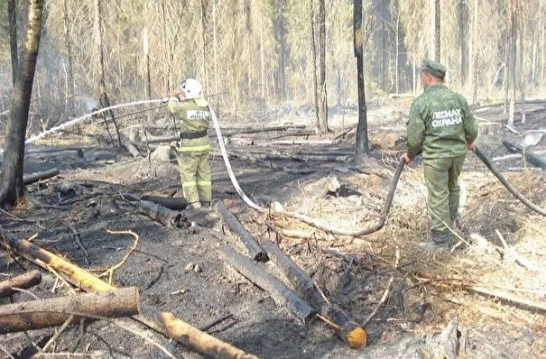 Еще один лесной пожар вблизи деревни вспыхнул в Ивановской области