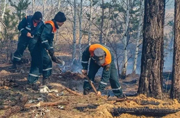 Высокий уровень пожарной опасности сохранится в Курганской области до середины недели