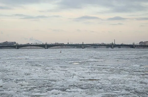 Ледостав идет на водоемах Петербурга и Ленинградской области