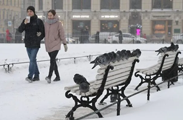 Солнце в Петербурге в декабре светило три часа