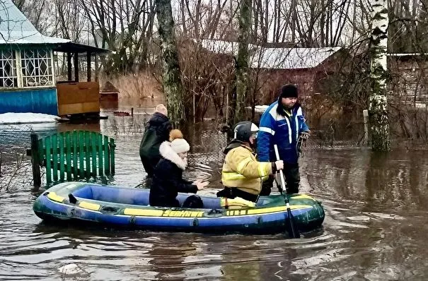 Ряд территорий частного жилого сектора подтопило в двух районах Рязанской области - власти