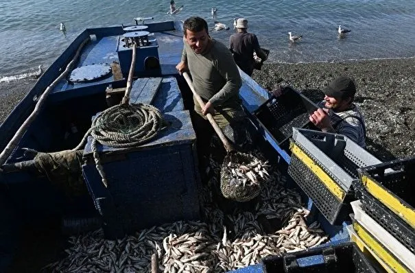 Власти Крыма в ручном режиме помогают организовывать выход в море рыболовам в условиях ограничений