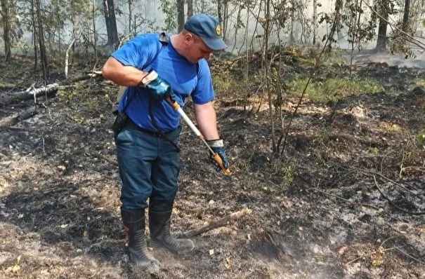 Более 100 человек и авиация тушат природный пожар вблизи двух сел в Курганской области