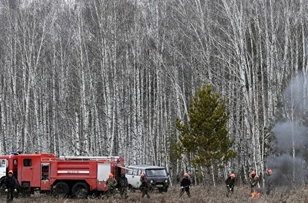 Более 20 природных пожаров потушили в Свердловской области за сутки