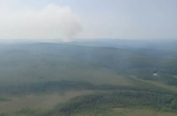 Около 30 природных пожаров тушат в самом крупном районе Приамурья