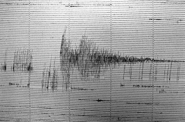 Землетрясение магнитудой 4,9 произошло вблизи Курил