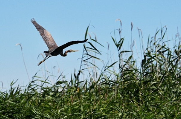 Шесть новых особо охраняемых природных территорий появится в Татарстане