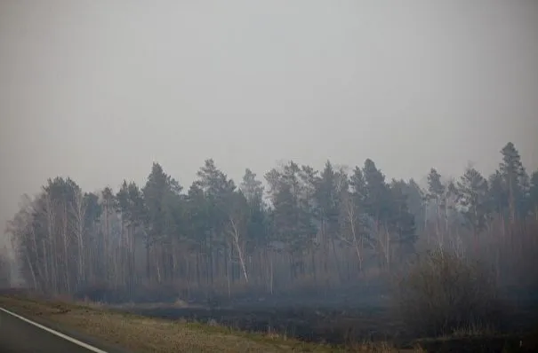 Все природные пожары потушили в Свердловской области