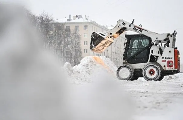 Первый зимний