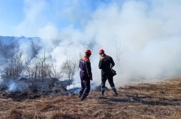 Количество природных пожаров на Кубани за два месяца выросло на 13%