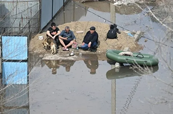 Паводковые воды отступили из домов и участков двух сел в Курганской области