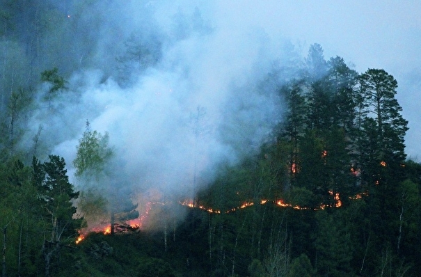 Площадь лесных пожаров в Свердловской области за сутки выросла в 16 раз