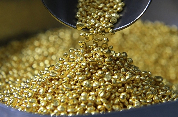 Около 200 т золота "законсервированы" по спящим лицензиям в Магаданской области - губернатор