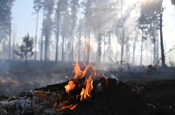 Почти 200 га леса горит на севере Красноярского края