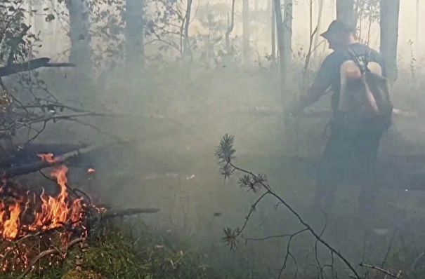 Число лесных пожаров в Челябинской области за 2 месяца снизилось в 12 раз