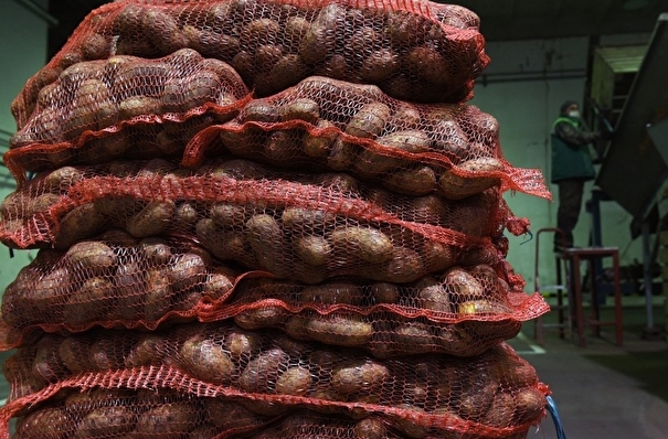 Россельхознадзор запретил ввоз зараженного гнилью картофеля из Китая в Приморье