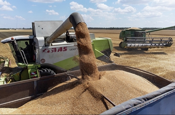 Чувашия в 2024г впервые может начать экспорт зерна