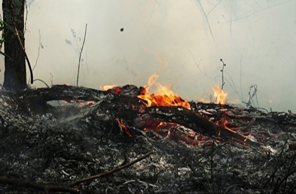 Режим ЧС федерального характера введен в Якутии из-за лесных пожаров