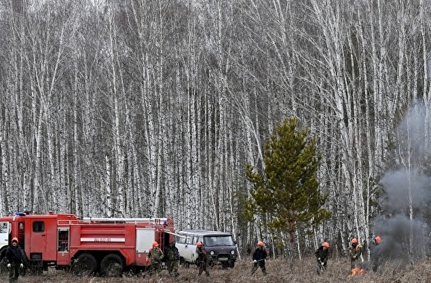 Площадь лесных пожаров в Красноярском крае выросла до 3,5 тыс. га