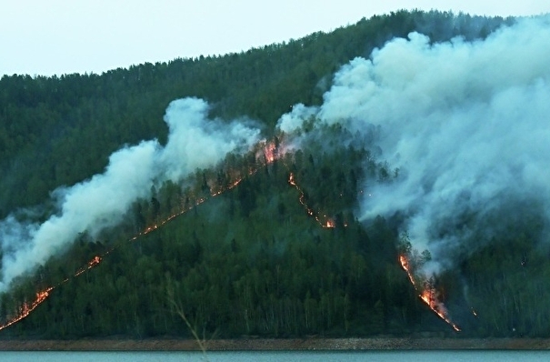 Леса на площади 6 тыс. га горят на севере Красноярского края