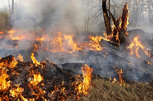 Приангарью нужны дополнительные средства для борьбы с лесными пожарами - власти