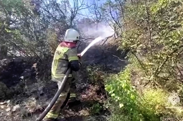 Закрыт въезд в Дюрсо под Новороссийском, где тушат лесной пожар - власти