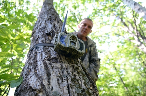 Еще 80 фотоловушек установят для поиска нарушителей в лесах Иркутской области