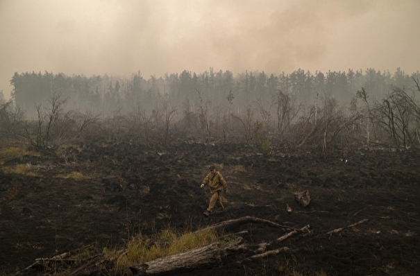 Ликвидирован крупный лесной пожар вблизи села Кутана - глава Якутии