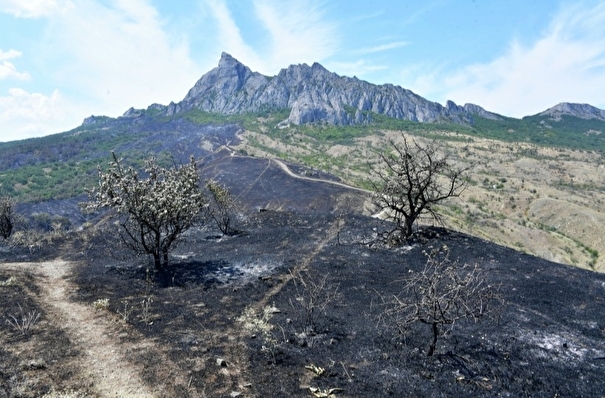 В МЧС уточнили площадь крупного возгорания в крымском заповеднике