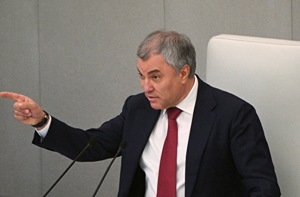 Володин: ГД продолжит рассмотрение законопроектов о высылке мигрантов из РФ